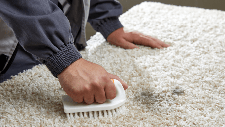 Professional Rug Cleaning Delahey